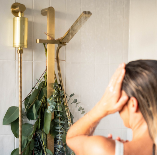 What's Lurking in Your Shower Steam?
