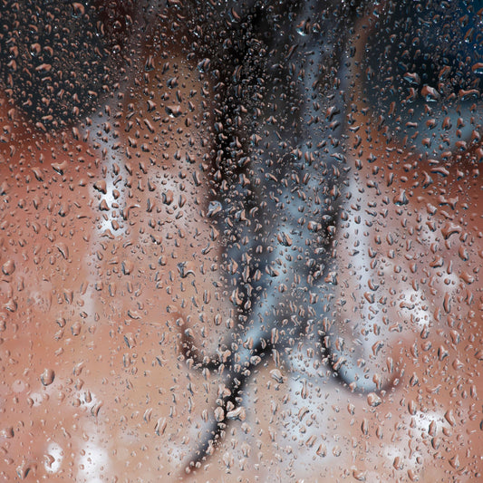 How to Keep Your Shower Clean and Your Lungs Healthy
