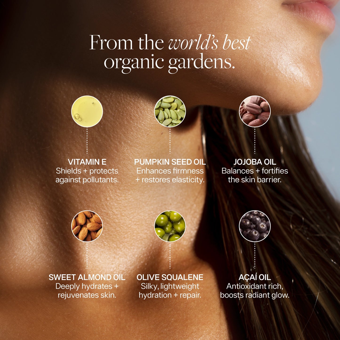 Organic Anti-Pollution Body Oil