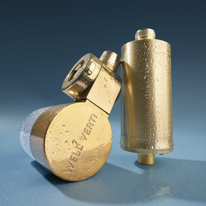 Shower & Tap Filter Bundle - Gold