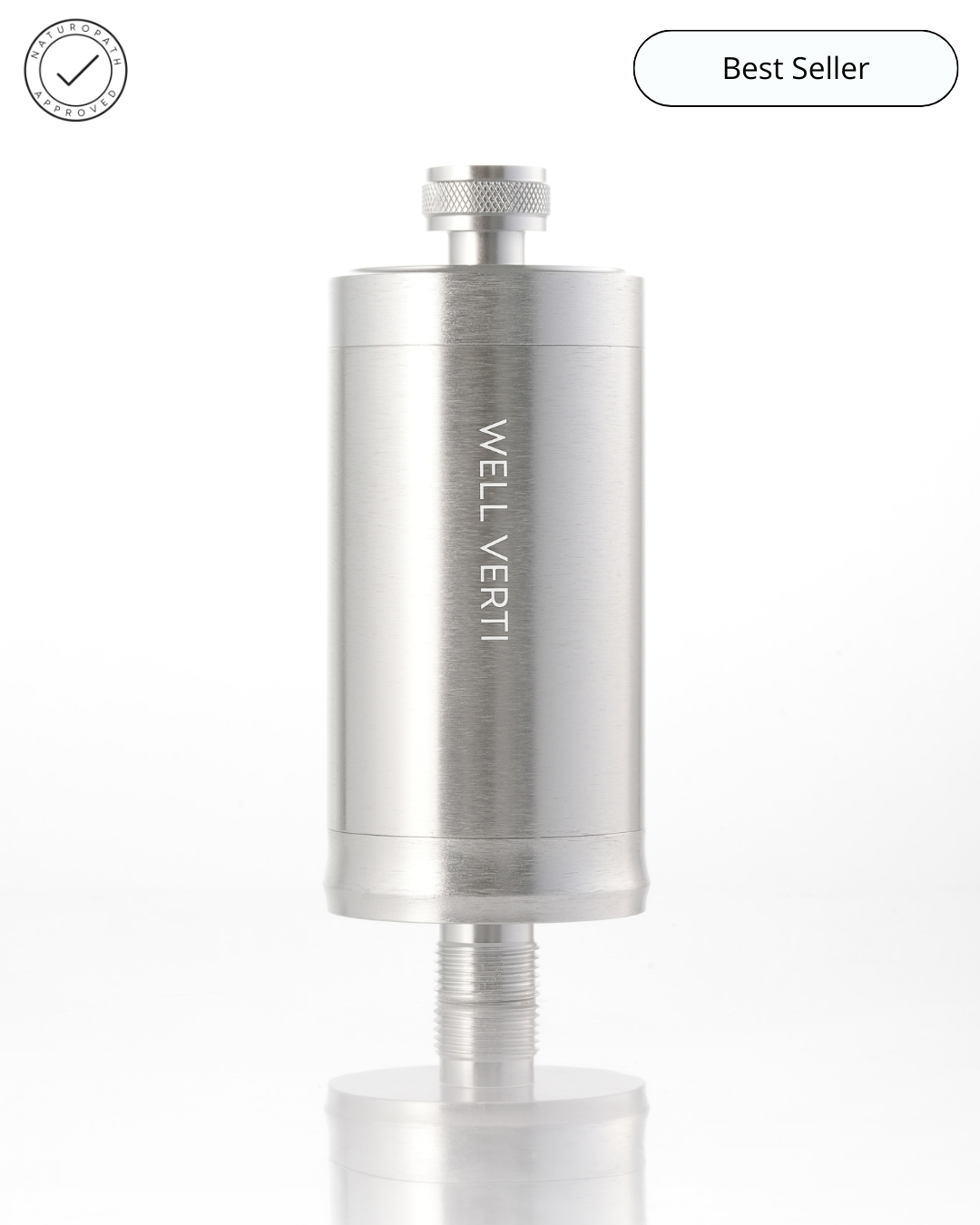 Wellness Pod™ by Well Verti in Silver – Premium shower filter designed to reduce chlorine, heavy metals, and impurities, enhancing skin and hair health for a luxurious shower experience